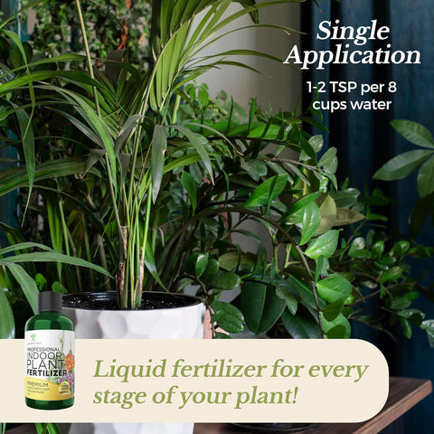 Leaves and Soul application on a thriving houseplant supporting healthy growth and vitality