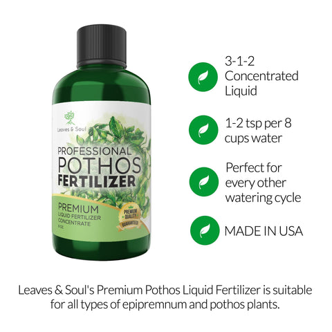 Leaves and Soul houseplants benefiting from fertilizer use