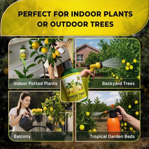 Leaves and Soul in-ground garden nutrition aids robust leafy growth and resilience