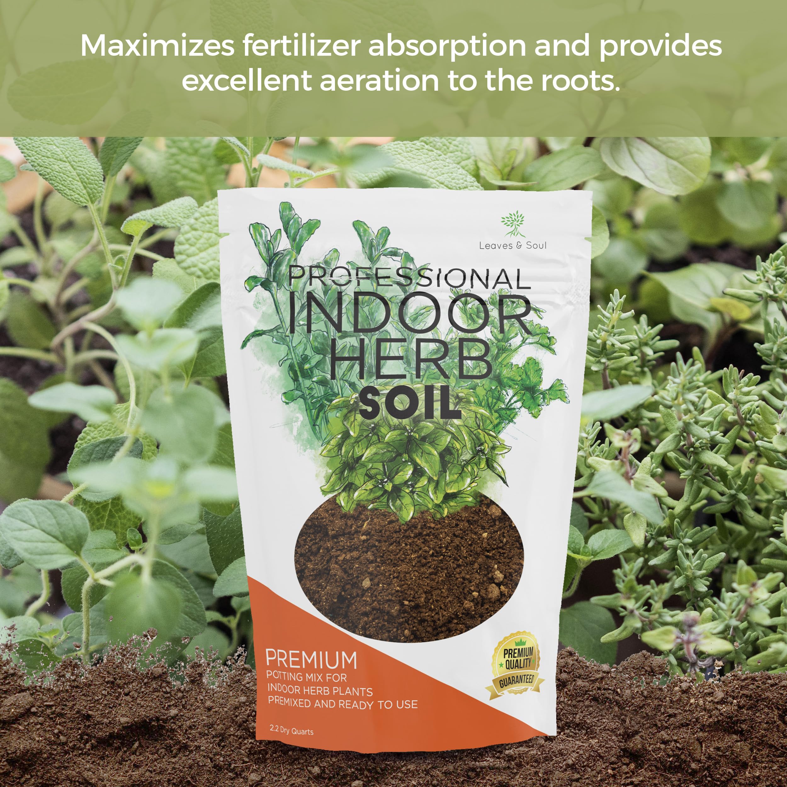 Leaves and Soul indoor herb garden setup with thriving pots