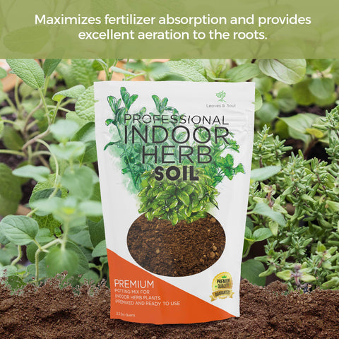 Leaves and Soul indoor herb garden setup with thriving pots