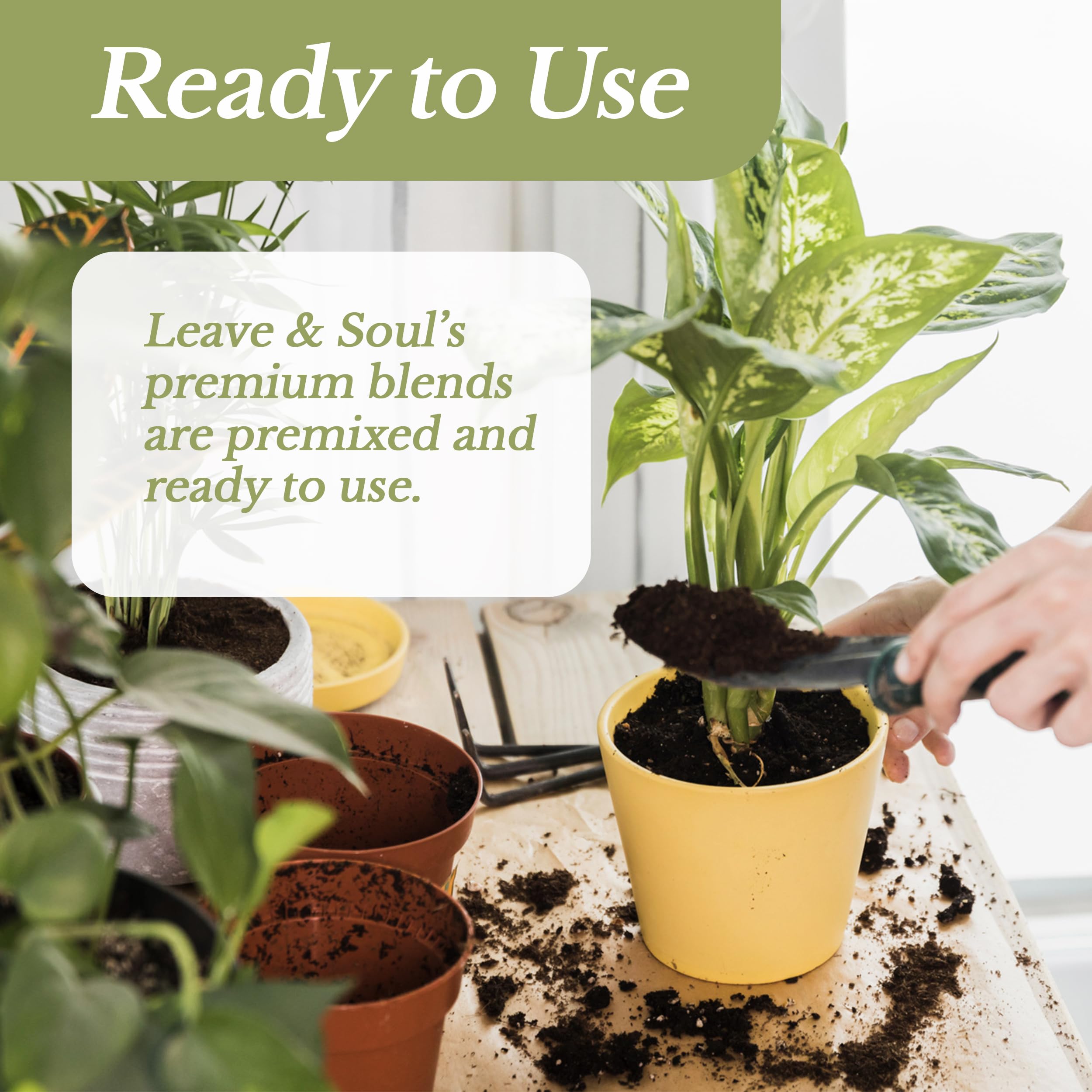 Leaves and Soul soil shows mix—peat moss, coco coir, perlite, dolomite.