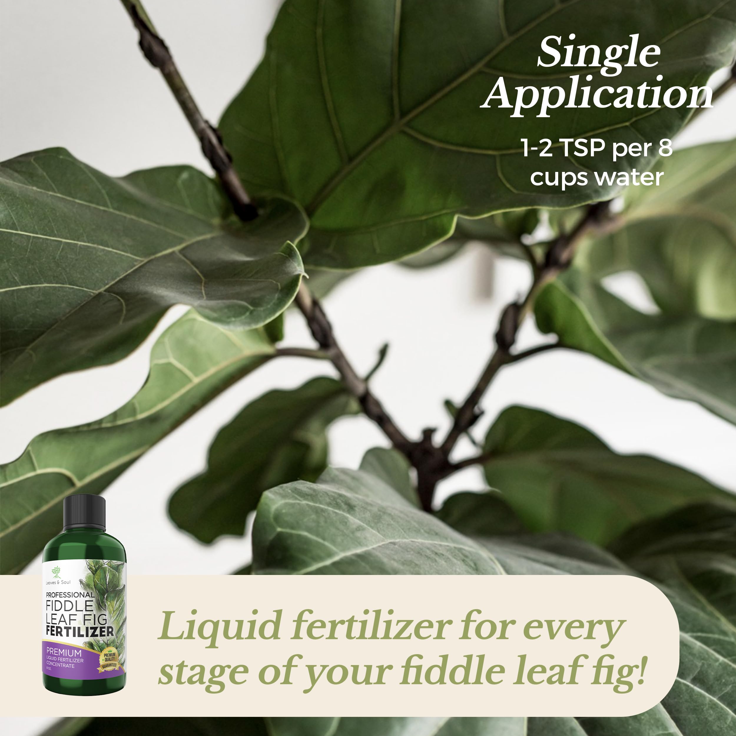 Leaves and Soul liquid concentrate mixing with water for easy feeding.