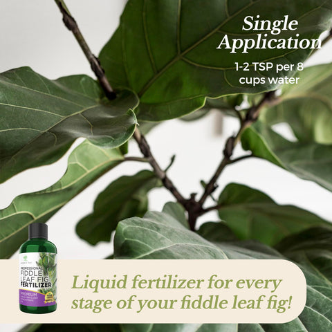 Leaves and Soul liquid concentrate mixing with water for easy feeding.