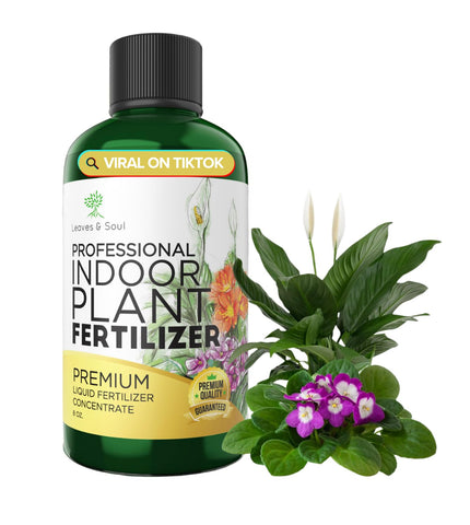 Leaves and Soul liquid fertilizer bottle close-up for indoor plant nutrition