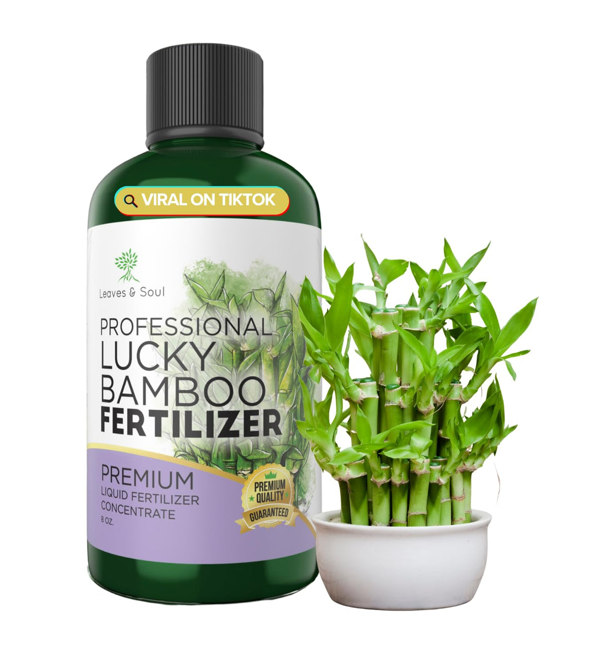 Leaves and Soul liquid fertilizer bottle front view showing premium garden nutrients