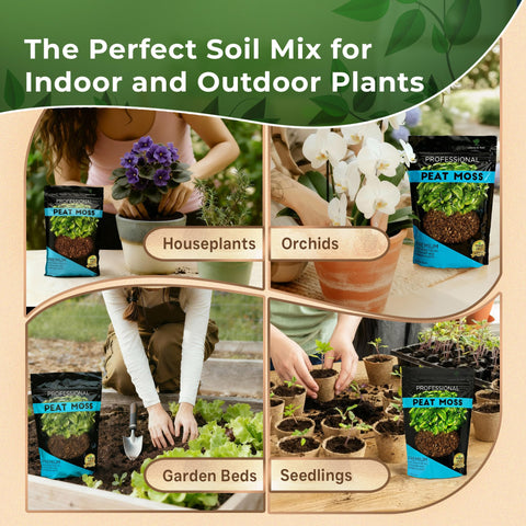 Leaves and Soul made in USA bag ensures quality and reliability.