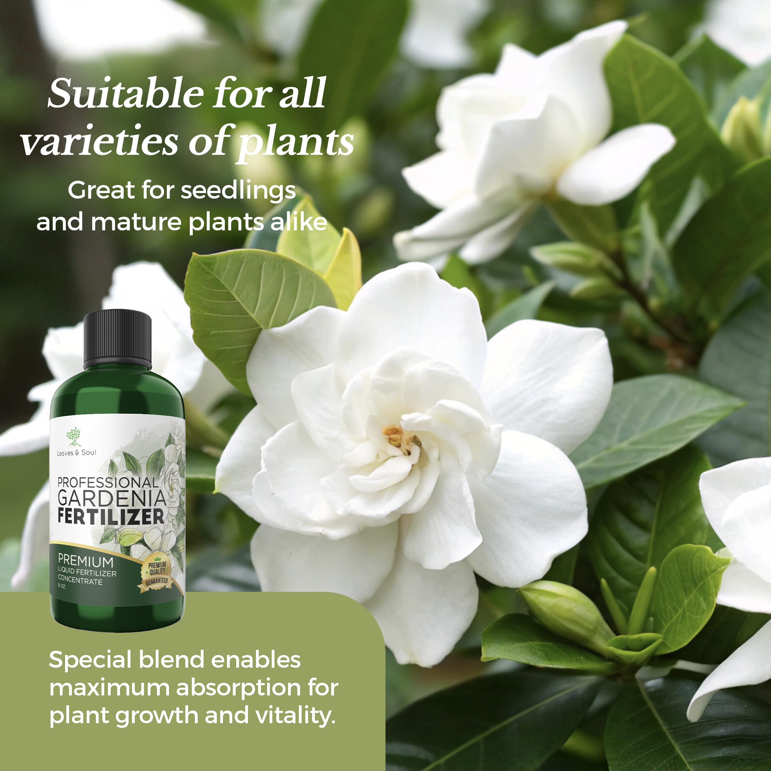 Leaves and Soul fertilizer made in the USA for reliable quality.