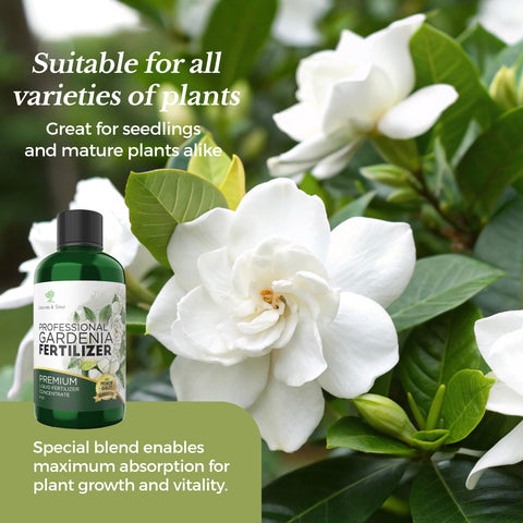 Leaves and Soul fertilizer made in the USA for reliable quality.