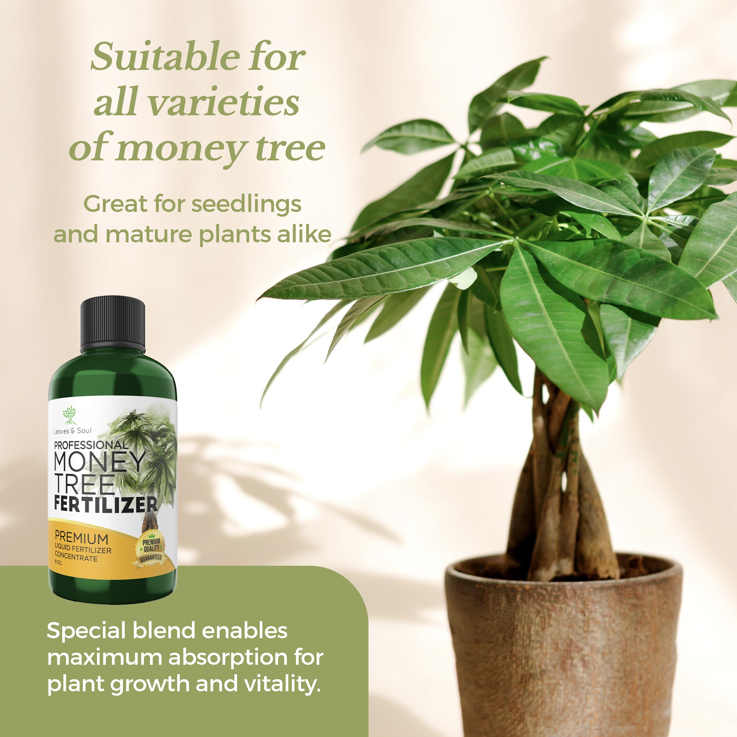 Leaves and Soul measuring spoon supports precise dosing for every watering.