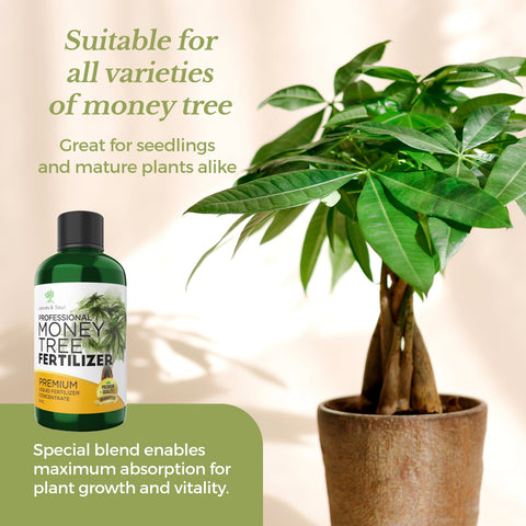 Leaves and Soul measuring spoon supports precise dosing for every watering.