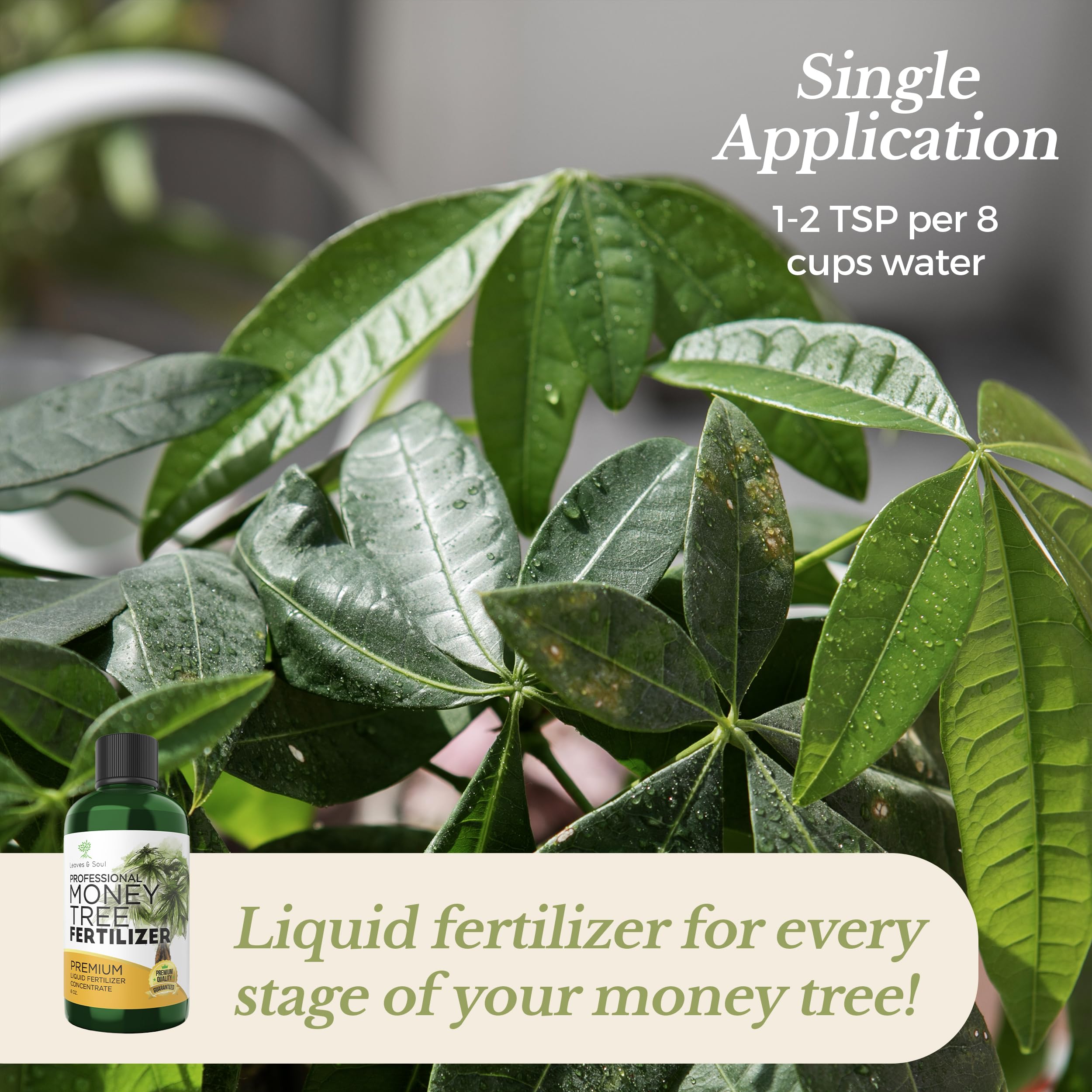Leaves and Soul fertilizer label close-up shows the 3-1-2 balance for plants.