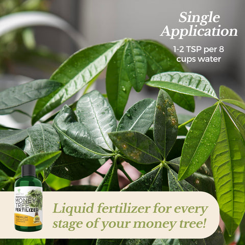 Leaves and Soul fertilizer label close-up shows the 3-1-2 balance for plants.