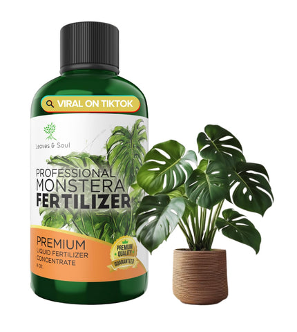Leaves and Soul Monstera fertilizer bottle ready for use, delivering balanced nutrients for thriving growth.