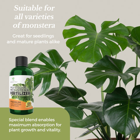 Leaves and Soul Monstera fertilizer dilution image demonstrates easy mixing with water.