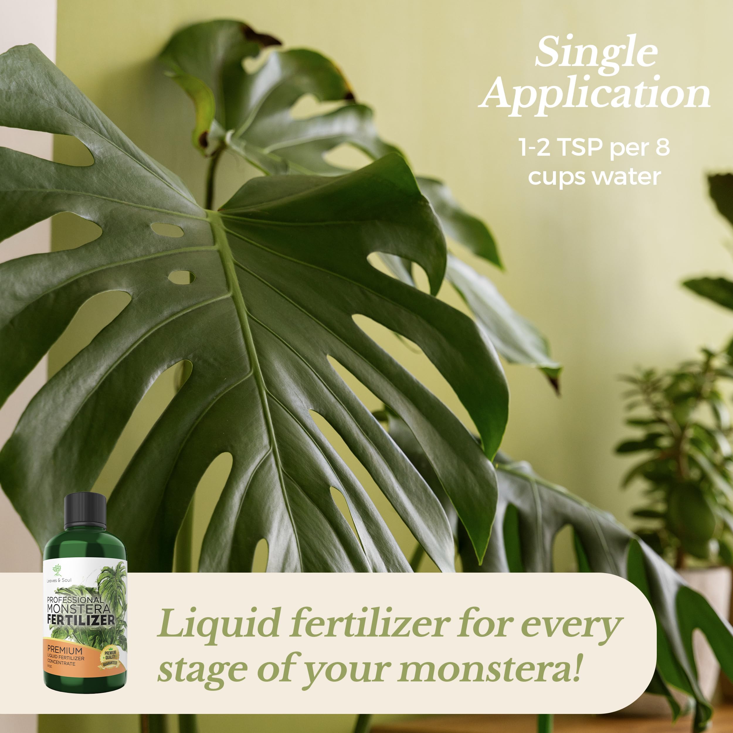 Leaves and Soul Monstera fertilizer pour shows simple dilution for efficient watering.