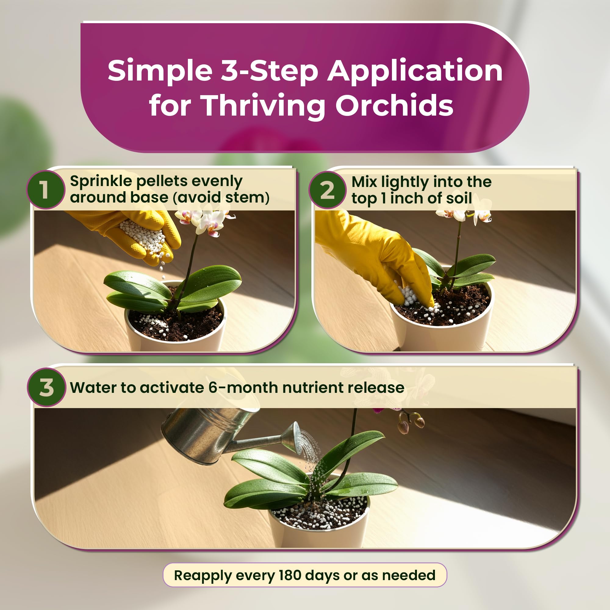 Leaves and Soul orchid fertilizer pellets on seedling tray for steady growth