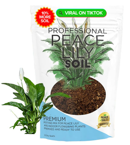 Leaves and Soul Peace Lily Soil bag front view ready-to-use indoor care