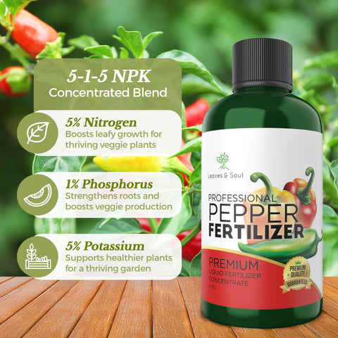 Leaves and Soul pepper plants show healthy foliage after liquid fertilizer use.