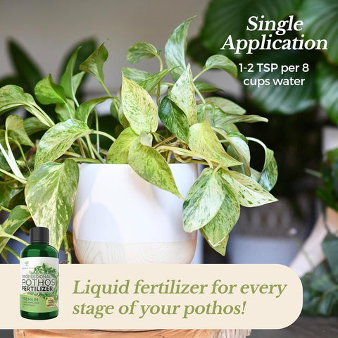 Leaves and Soul premium formula promotes efficient absorption