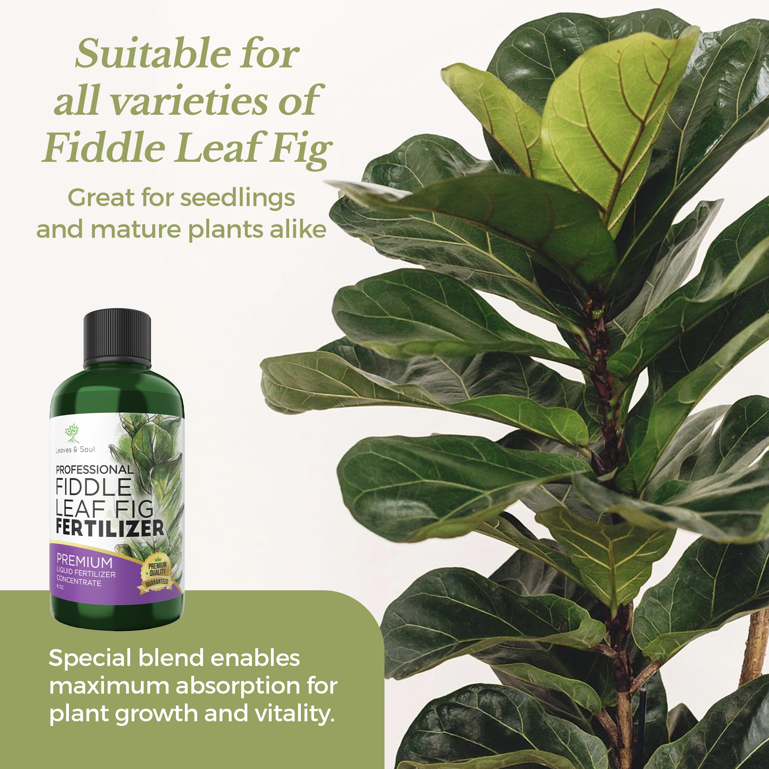 Leaves and Soul 8 oz bottle features durable packaging for storage.