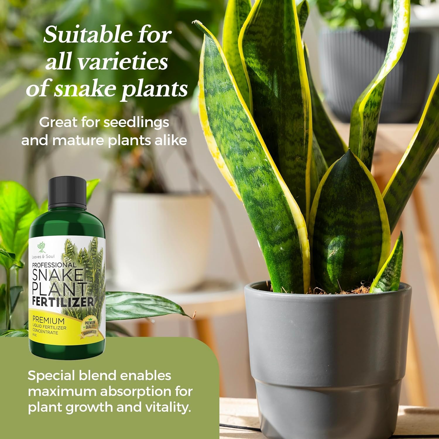 Leaves and Soul premium formula optimized for absorption and plant vitality.