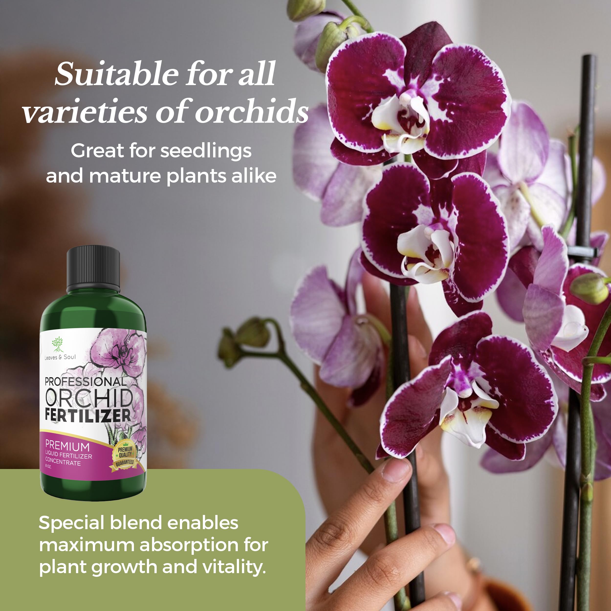 Leaves and Soul premium formula enhances absorption for orchids.