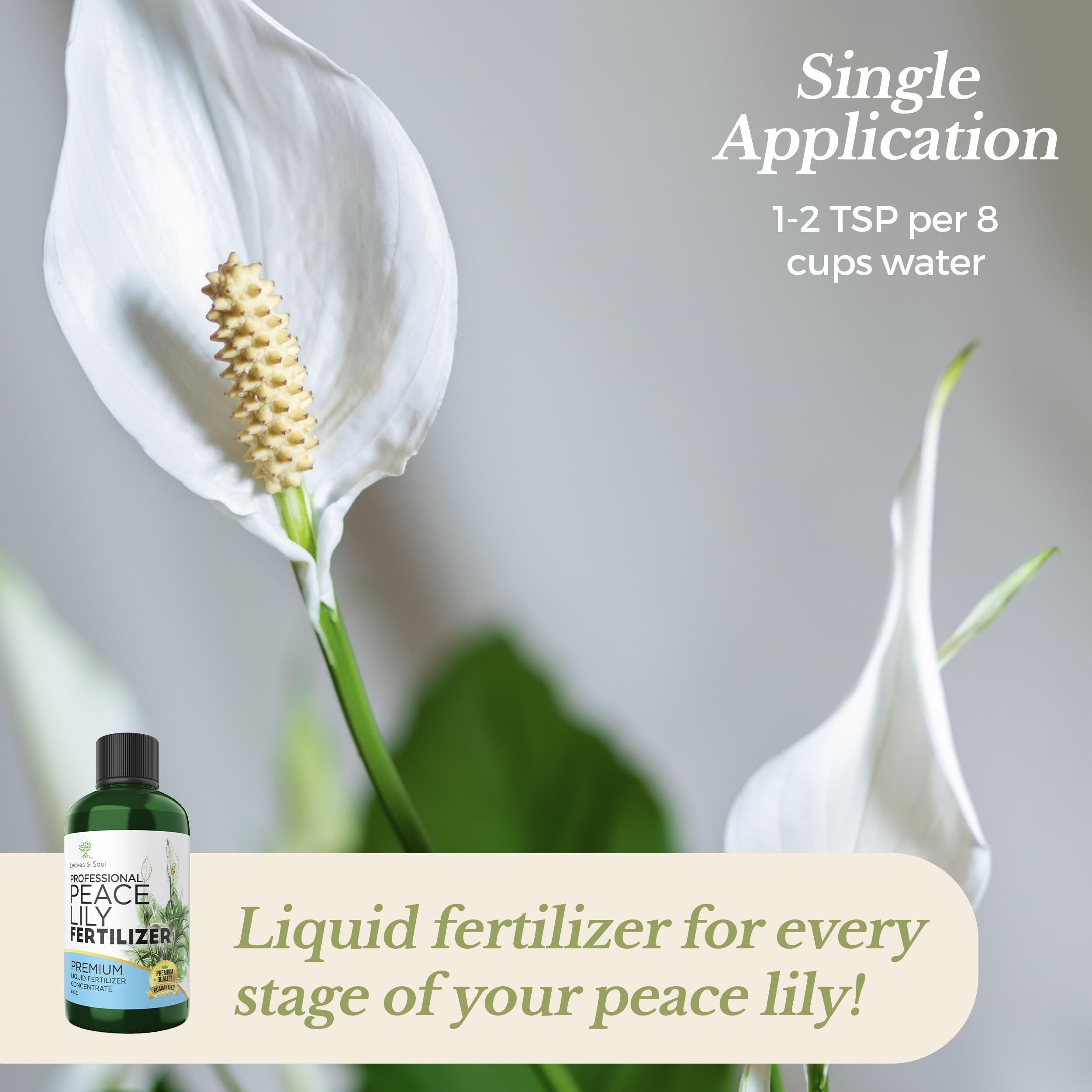 Leaves and Soul premium formula enhances nutrient absorption for plant vitality.