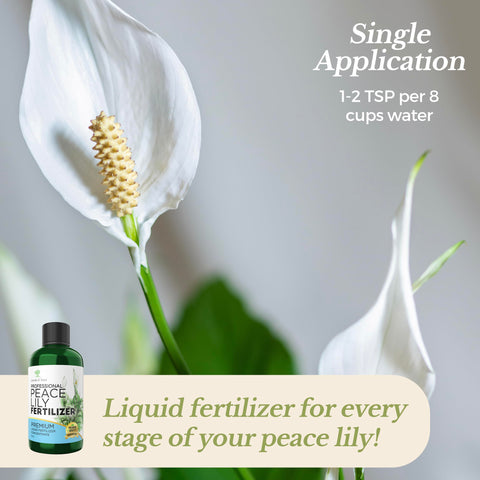 Leaves and Soul premium formula enhances nutrient absorption for plant vitality.