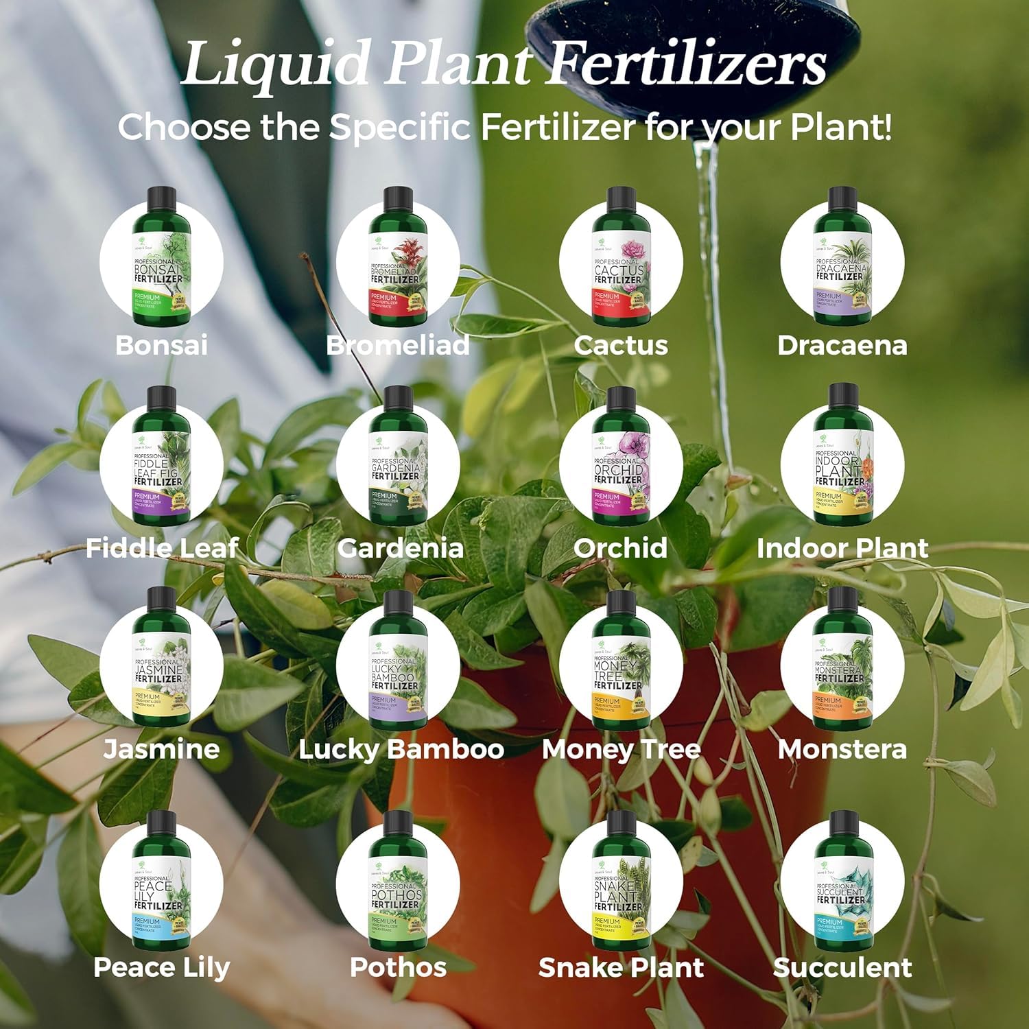 Leaves and Soul premium formula designed for maximum absorption and vitality
