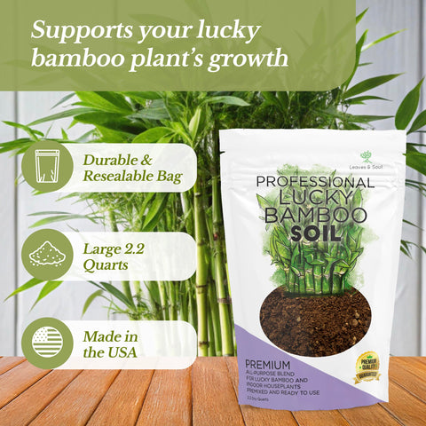 Leaves and Soul premixed soil supports nutrient uptake for indoor plants