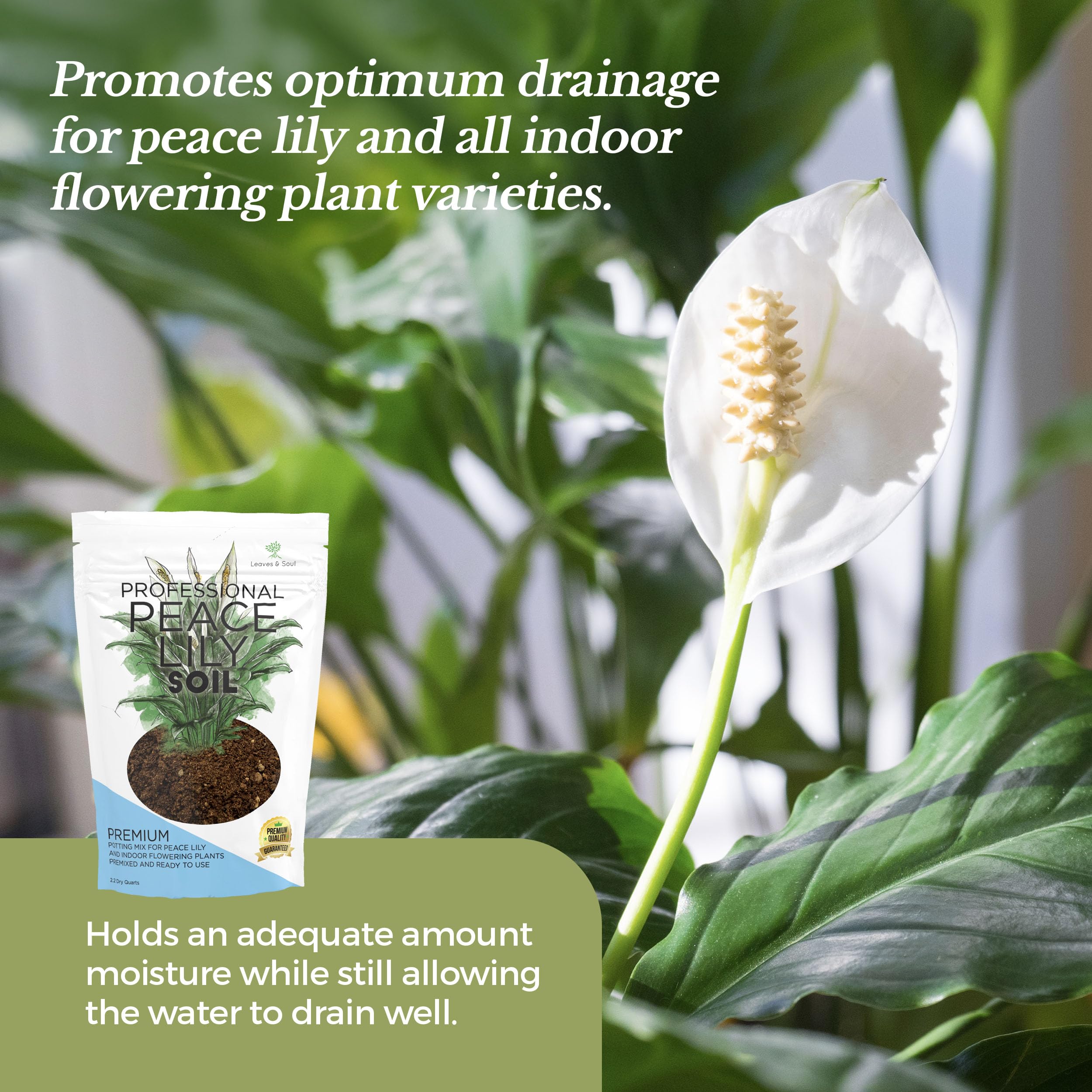 Leaves and Soul premixed soil for peace lilies ready to use in pots