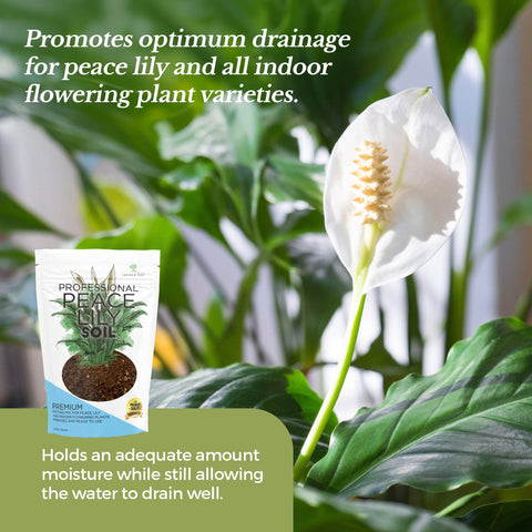 Leaves and Soul premixed soil for peace lilies ready to use in pots