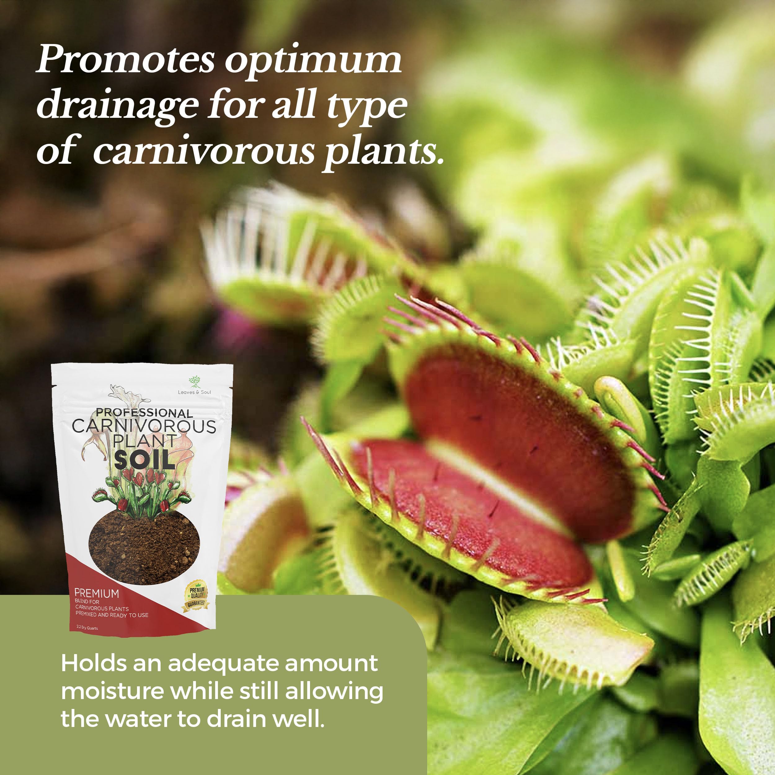 Leaves and Soul soil and pitcher plants scene illustrates versatility for multiple carnivores