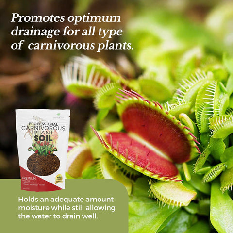 Leaves and Soul soil and pitcher plants scene illustrates versatility for multiple carnivores