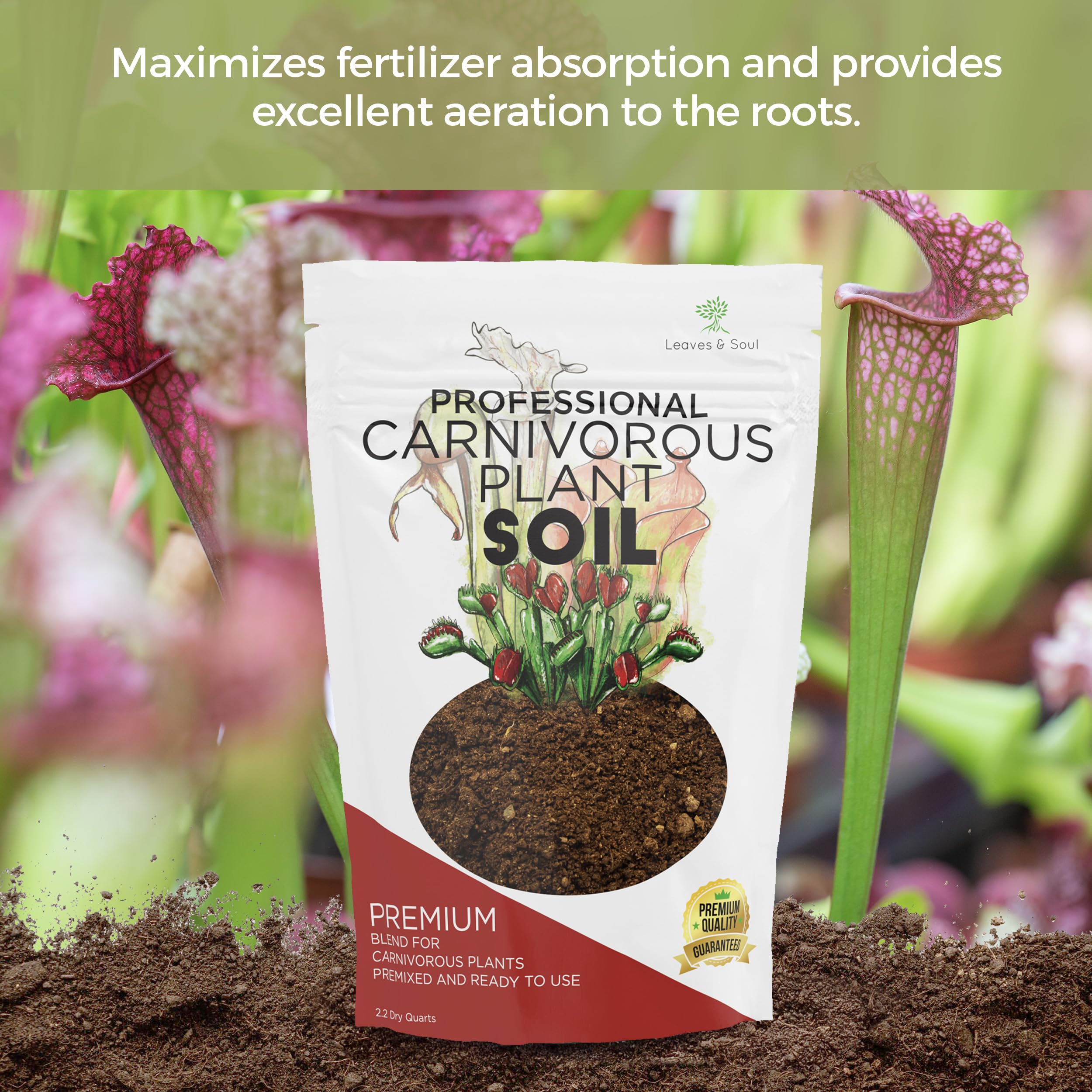 Leaves and Soul soil close-up with sundews to emphasize aeration and nutrient absorption