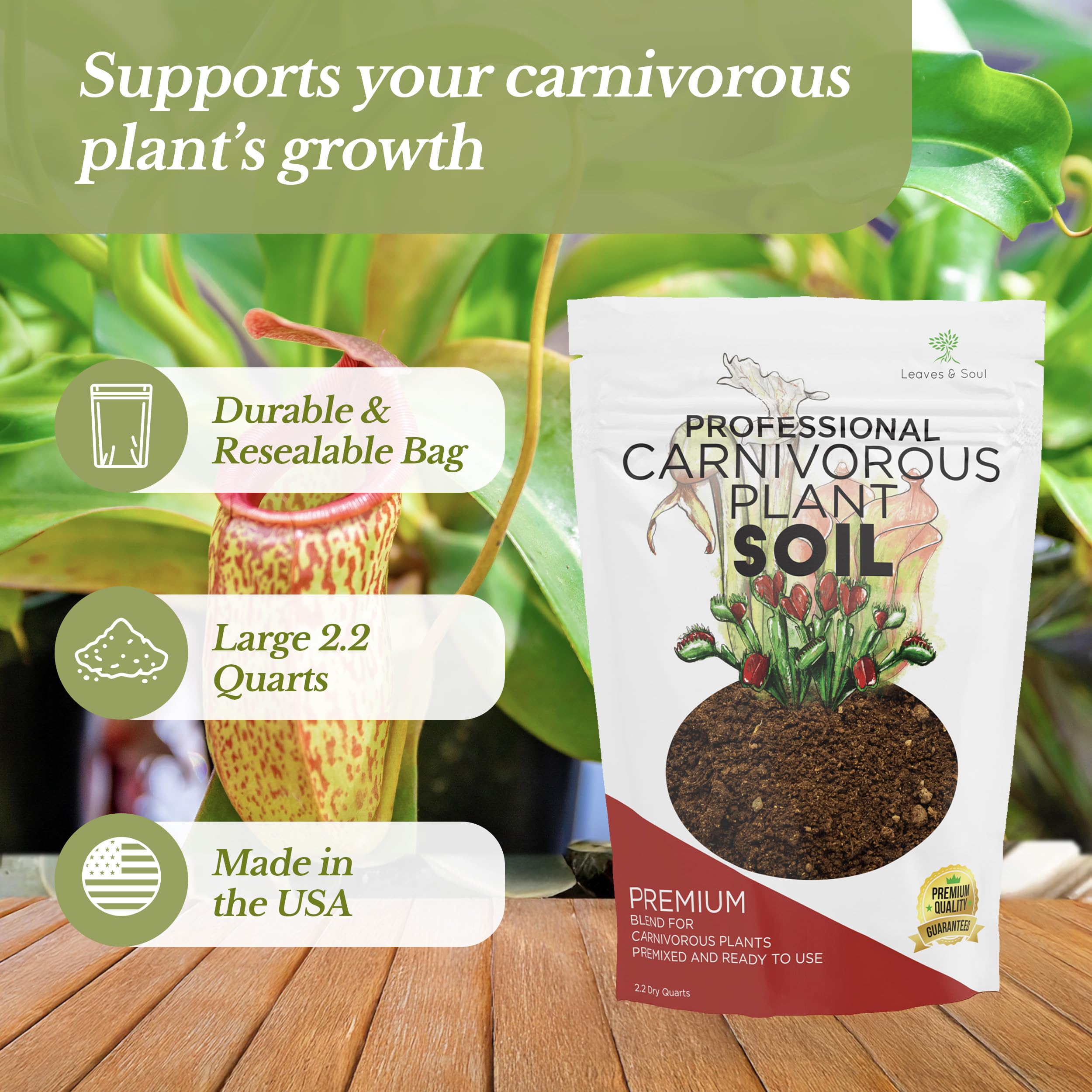 Leaves and Soul carnivorous soil near Venus Flytrap highlighting drainage and moisture balance