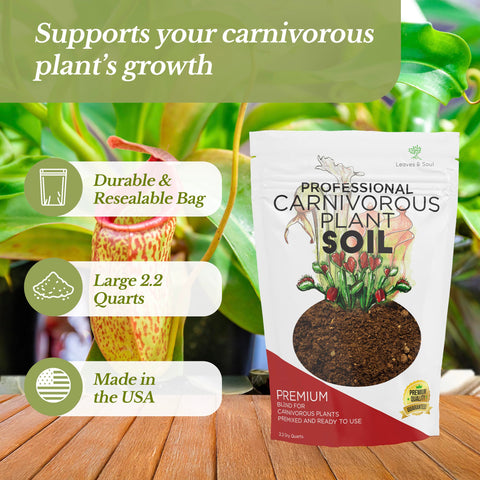 Leaves and Soul carnivorous soil near Venus Flytrap highlighting drainage and moisture balance