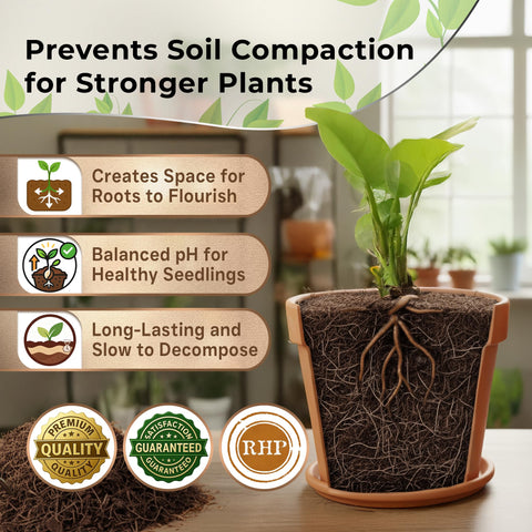 Watering scene demonstrating balanced moisture for diverse plants.
