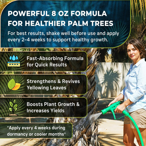 Leaves and Soul root-drench supports healthier roots for container palms.