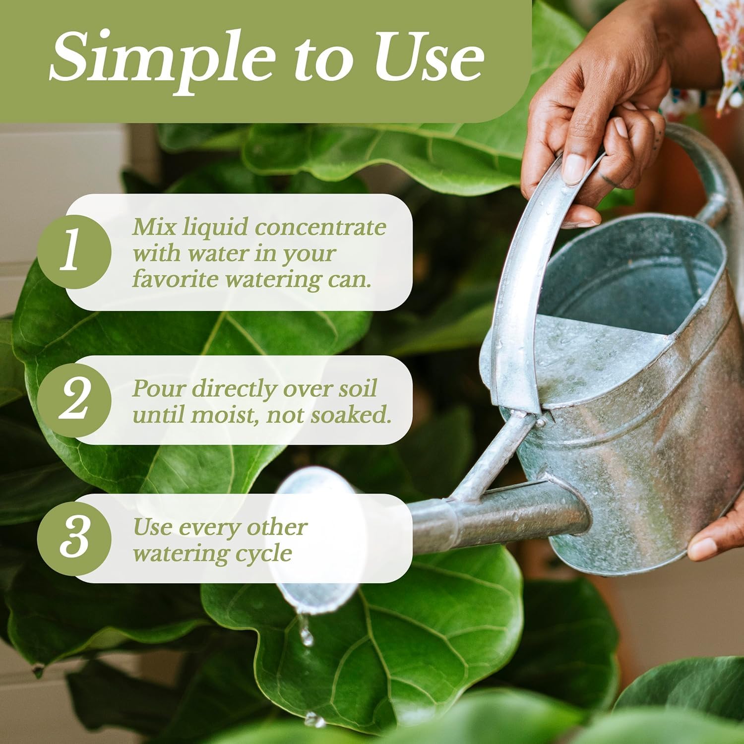 Leaves and Soul seedling growth mix supports early vigor in snake plants.