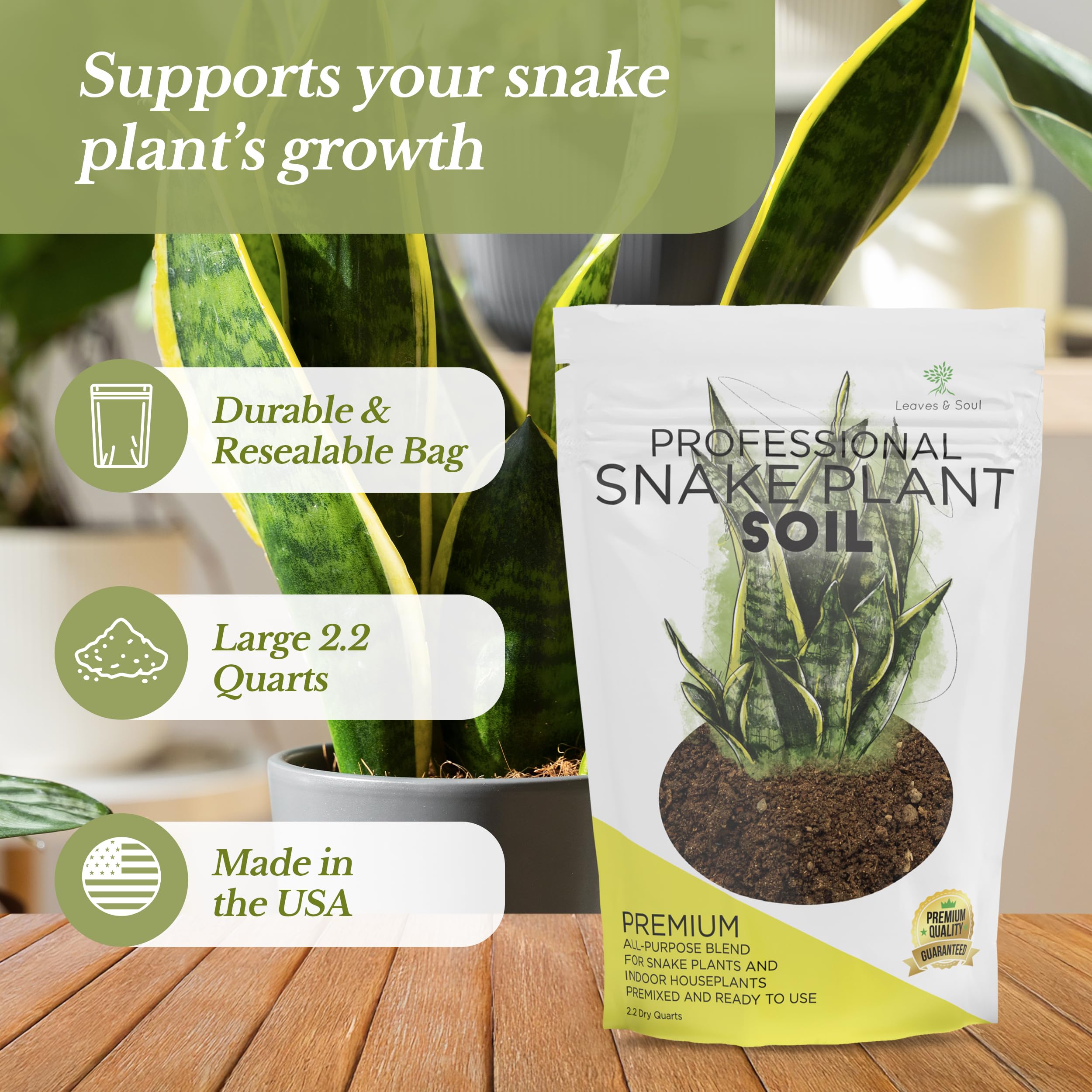 Leaves and Soul snake plant soil closeup highlights balanced moisture for steady indoor growth.