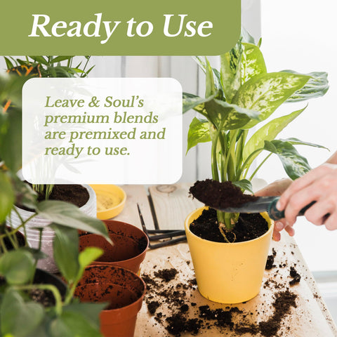 Leaves and Soul soil bag in use pot supports drainage and aeration
