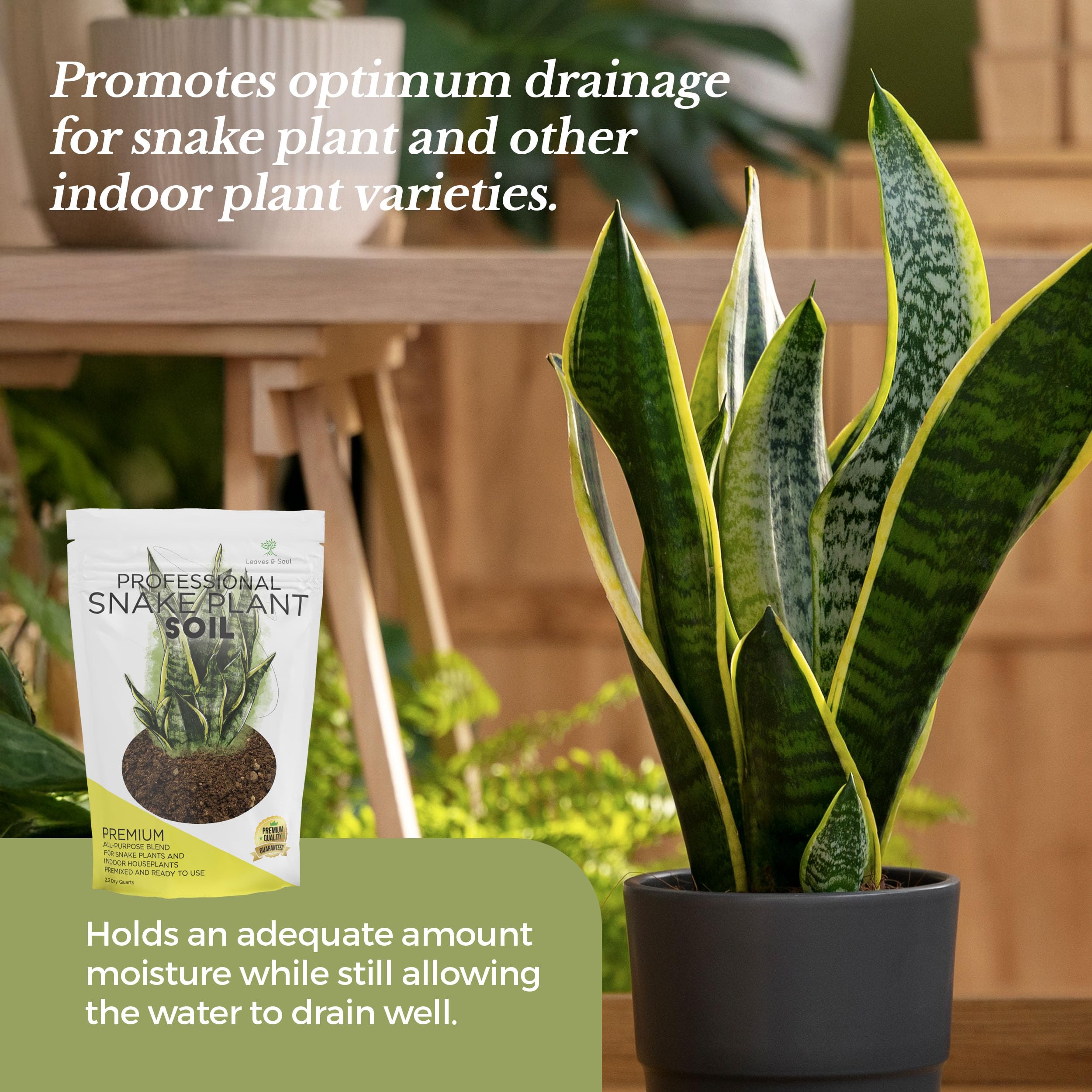 Leaves and Soul soil ingredients closeup emphasizes air circulation and drainage benefits.