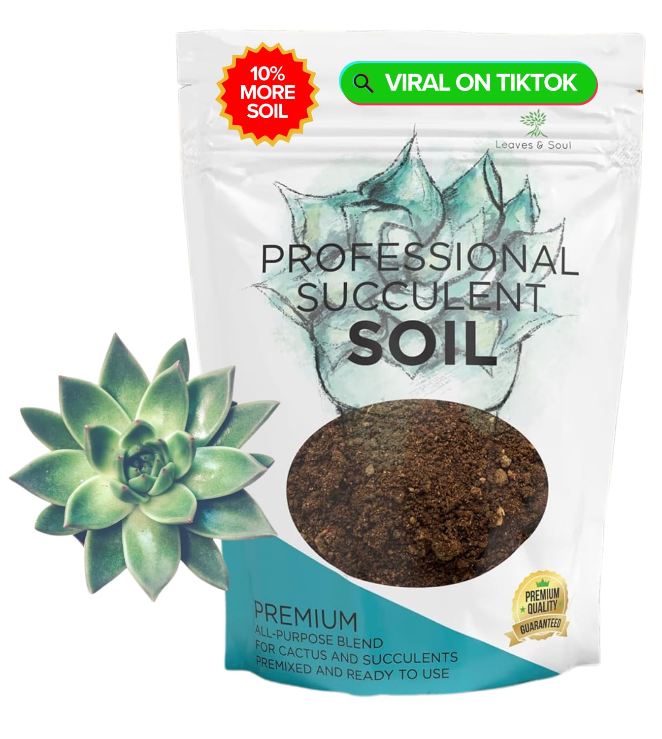 Leaves and Soul succulent soil bag front view shows ready-to-use mix for healthier roots