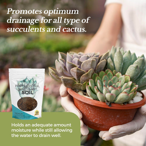 Leaves and Soul succulent soil profile bag label emphasizes all-purpose blend for cacti and succulents