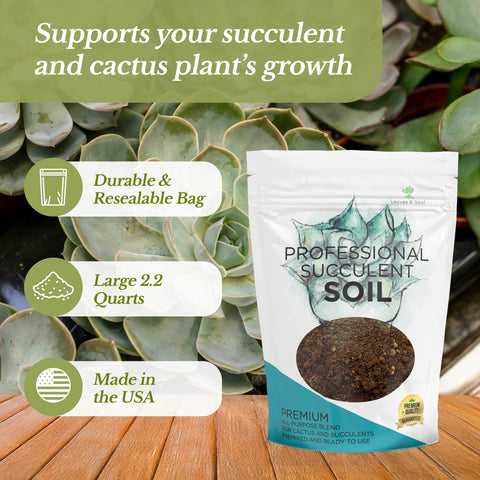 Leaves and Soul succulent soil bag sealed highlighting resealable packaging for long storage