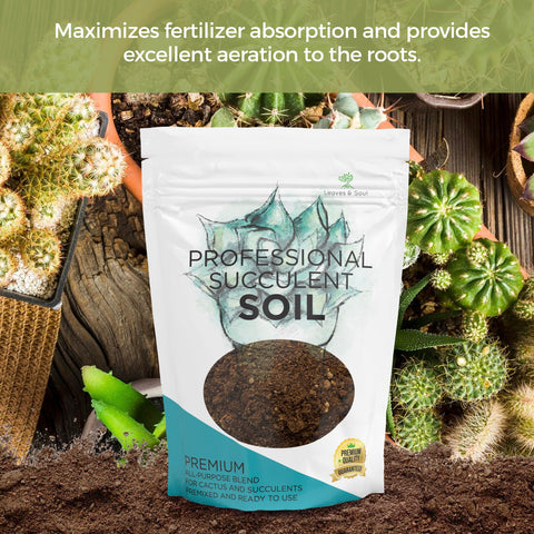 Leaves and Soul succulent soil ingredients closeup shows Canadian peat, sand, pine bark balance