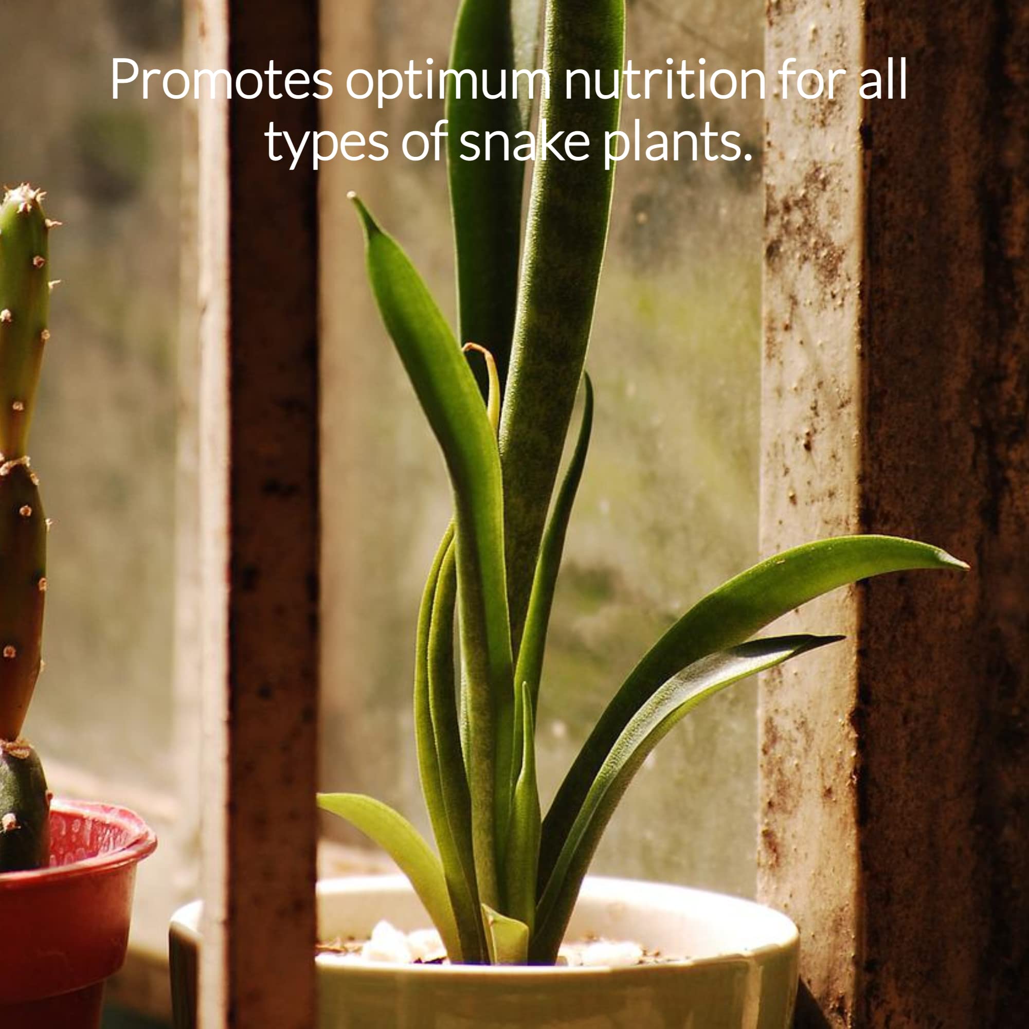 Leaves and Soul USA-made nutrients reflect quality control and reliability.