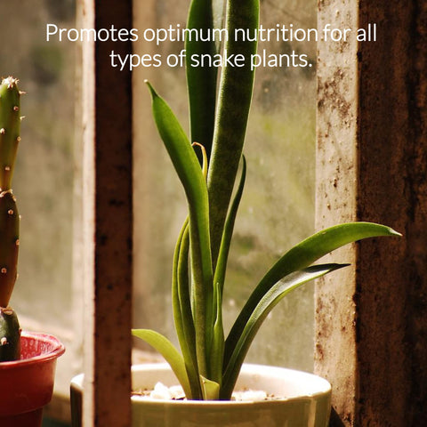 Leaves and Soul USA-made nutrients reflect quality control and reliability.